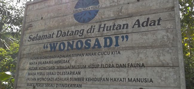 Hutan Wonosadi